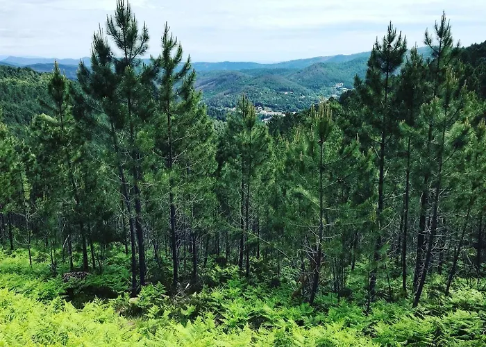 Detente Au Coeur Des Cevennes * Besseges
